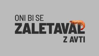 oni bi se zaletaval z avti